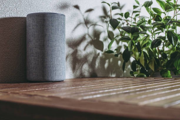 Interior and smart speaker